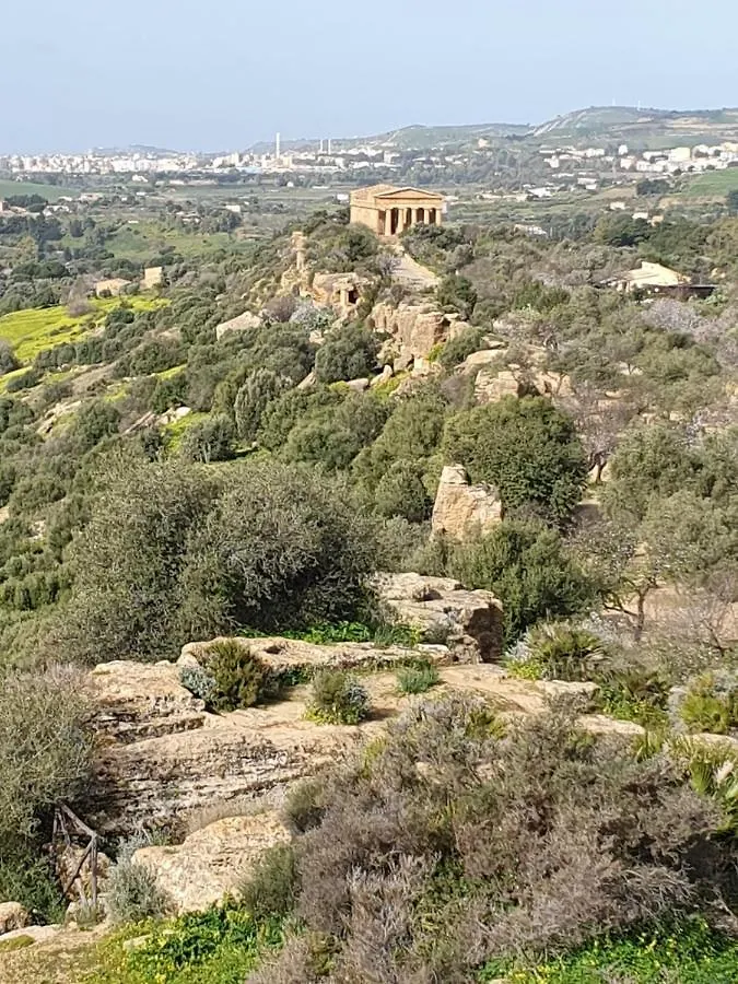 Villa Maresa Home Realmonte Apartment